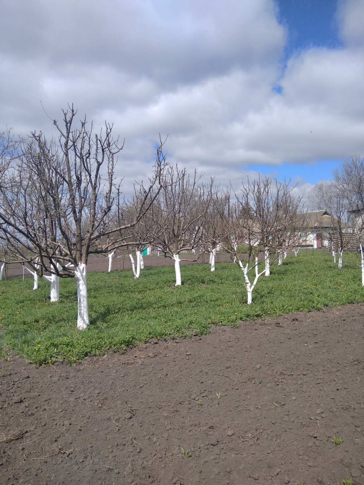 Продам будинок хату с Вишенька Вінницька обл.