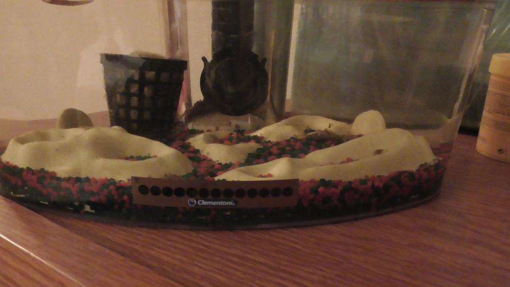 Aquário com periscópio para se ver o mundo subaquático