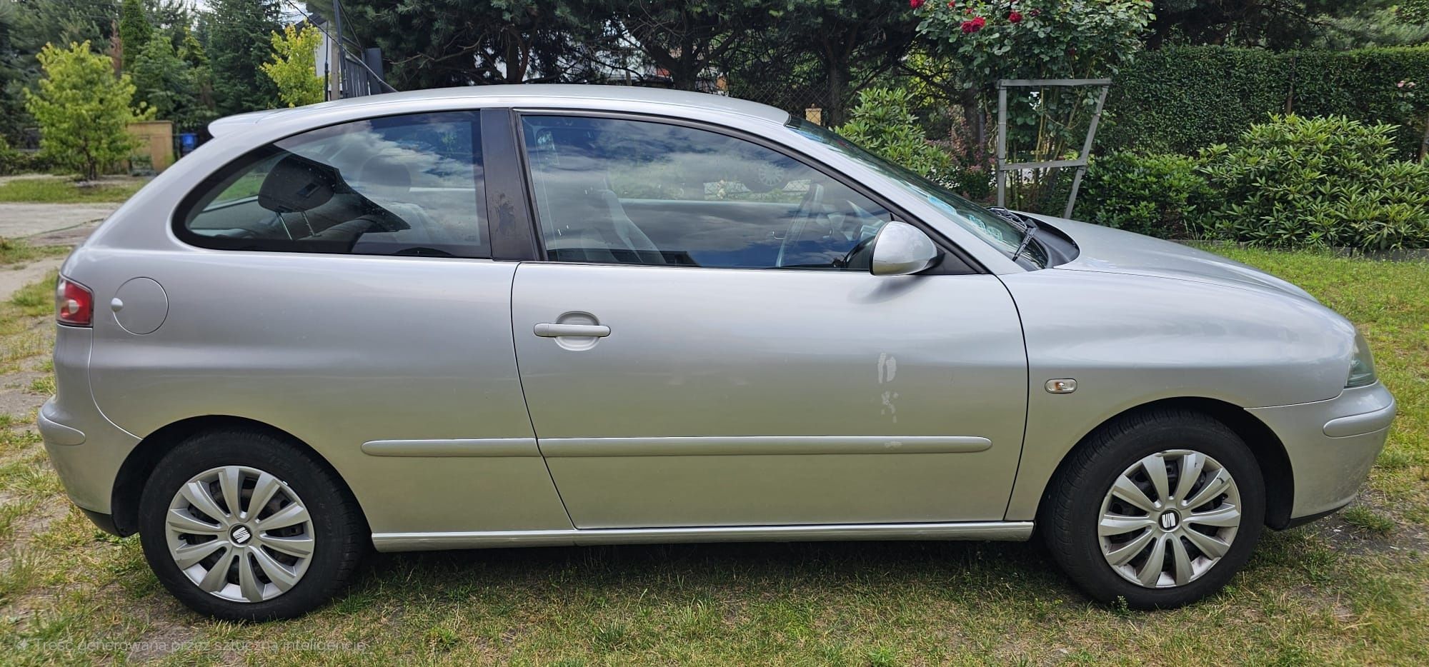 Seat Ibiza 1.2 2004