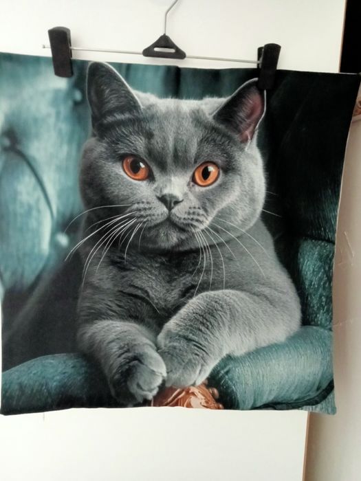 Наволочка 3Д Британець