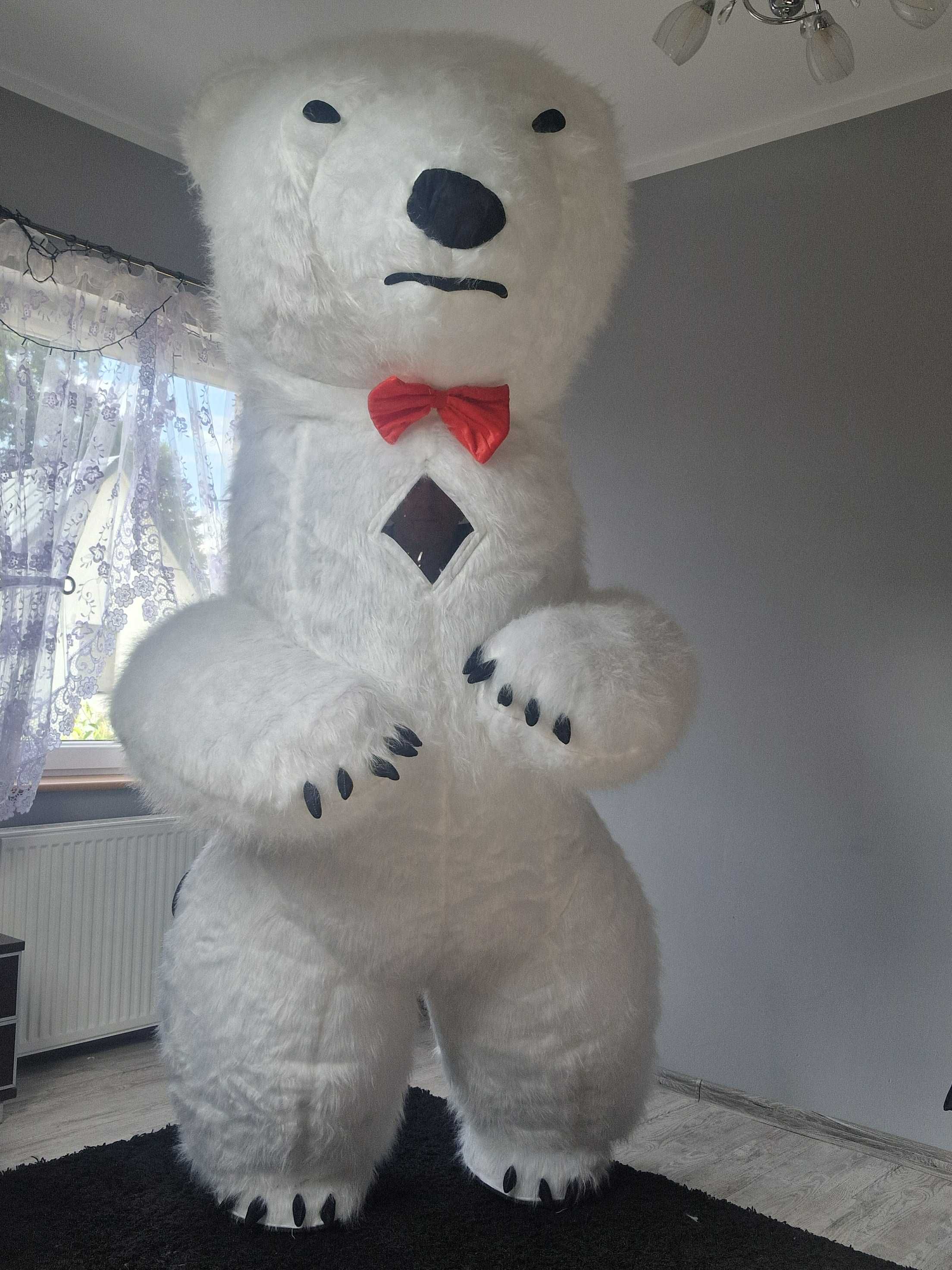 Biały Miś na wynajem wesela,urodziny,chrzciny i nie tylko