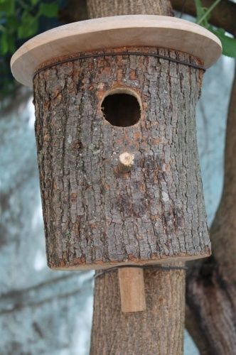 Шпаківні для птахів