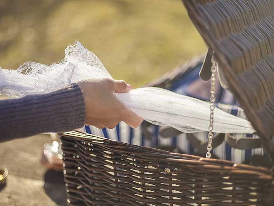 MOSKITIERA Osłona Siatka OCHRONNA na Żywność OWOCE przed OWADAMI 40 cm