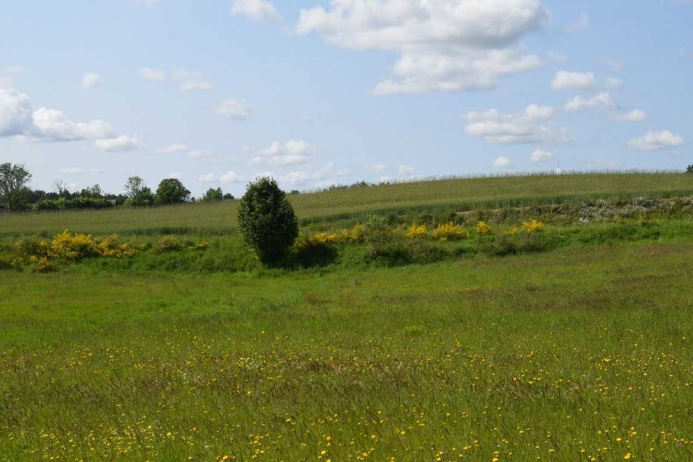 działka budowlana pod Sierakowicami