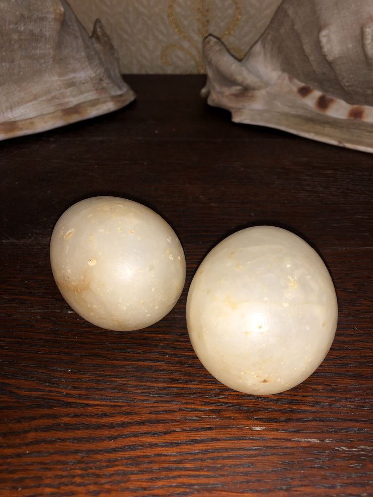 Яйца Пасхальные