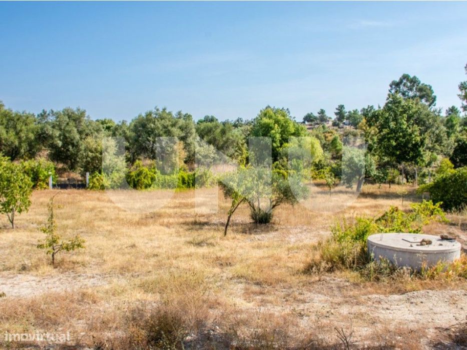 Terreno Rústico com 8900m2 para venda na Aldeia de Orca (Fundão).