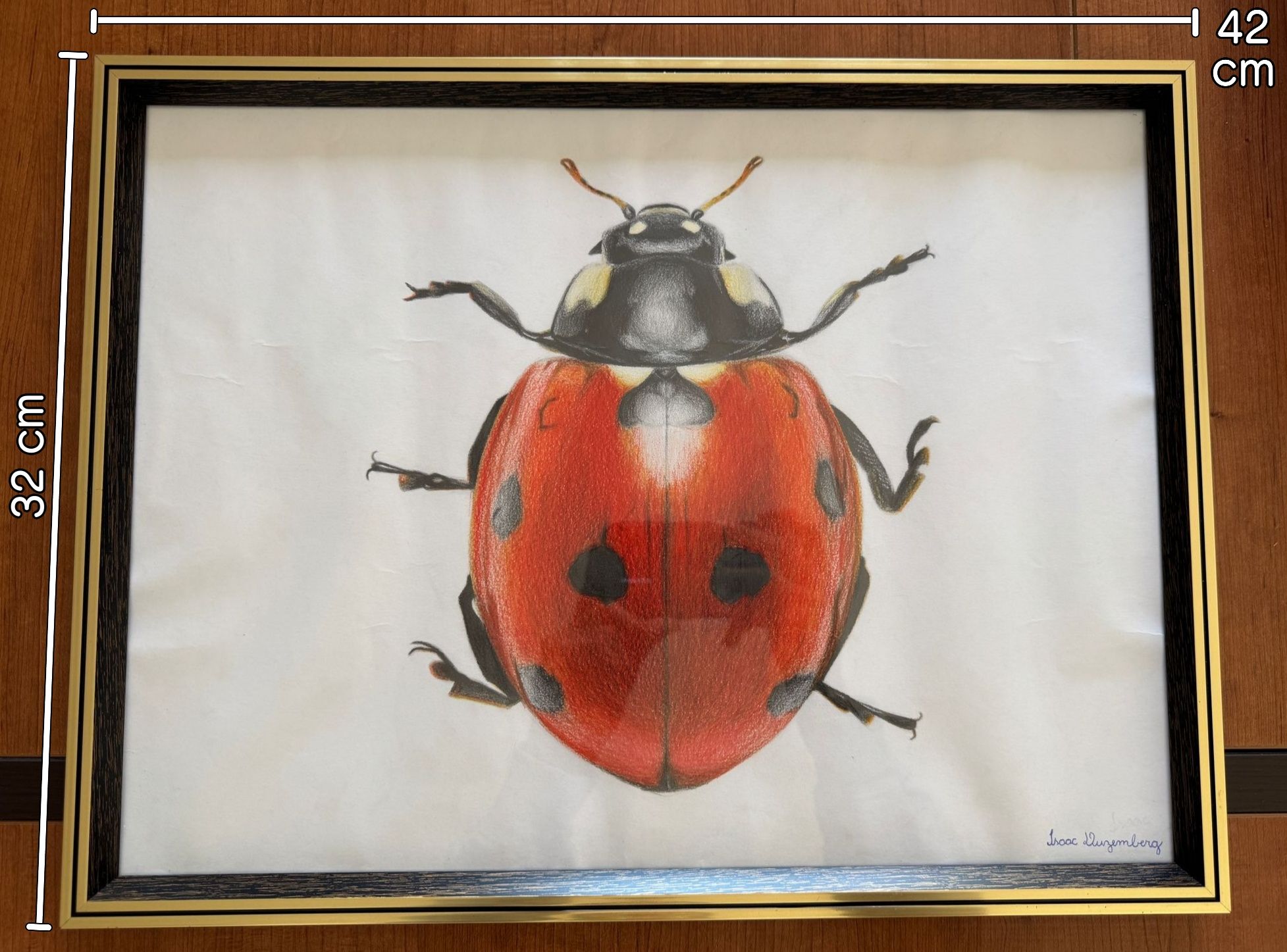 Quadro com desenho realista de joaninha para decoração - folha A3