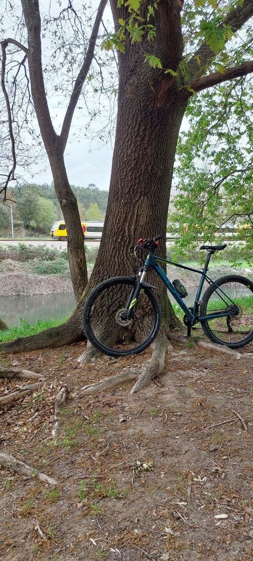Bicicleta BTT aro 29 2022