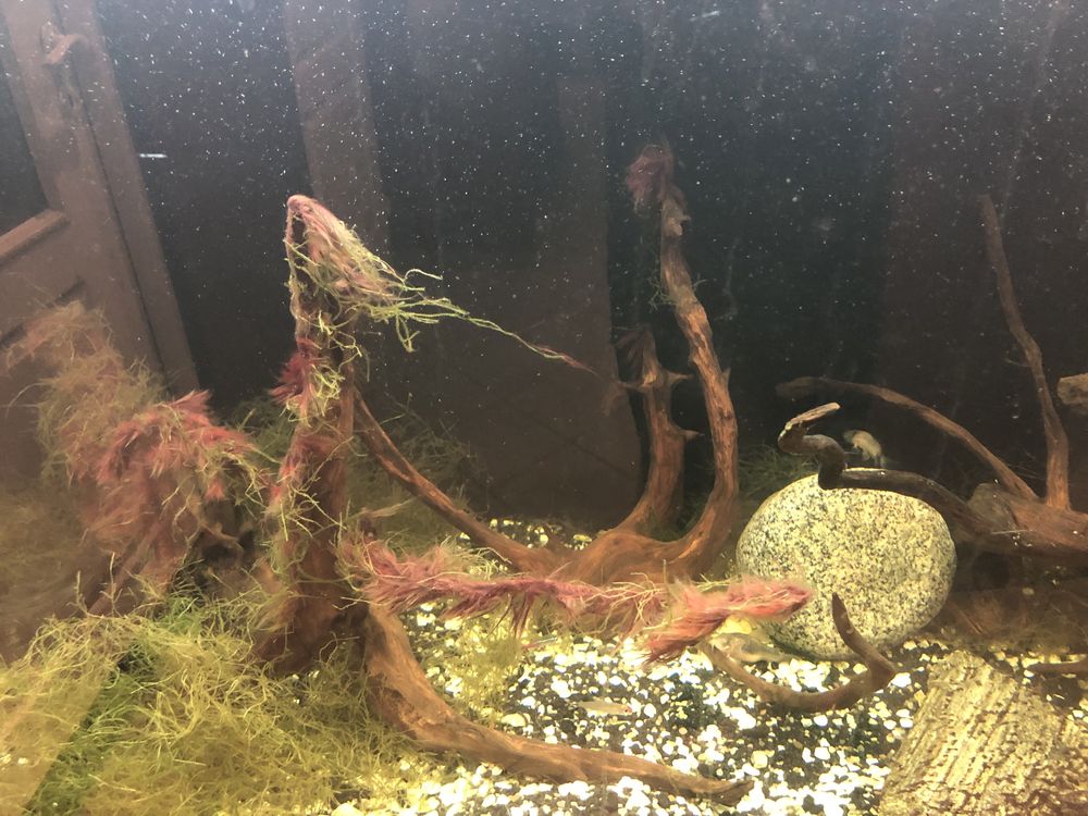 Akwarium 420 litrow
