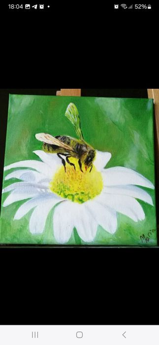 Quadros tema Animais