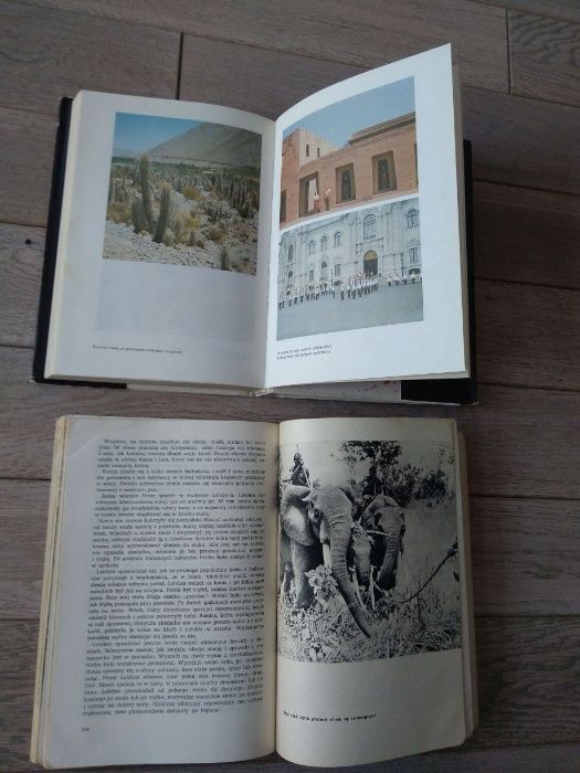 Peruwiańskie spotkania Na tropach słonia afrykańskiego