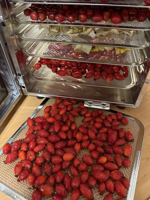 Suszone owoce dzikiej róży 1kg dla Pani Emilii