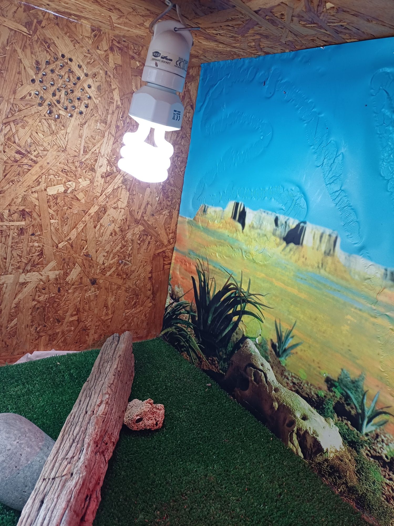Terrario para répteis com acessorios