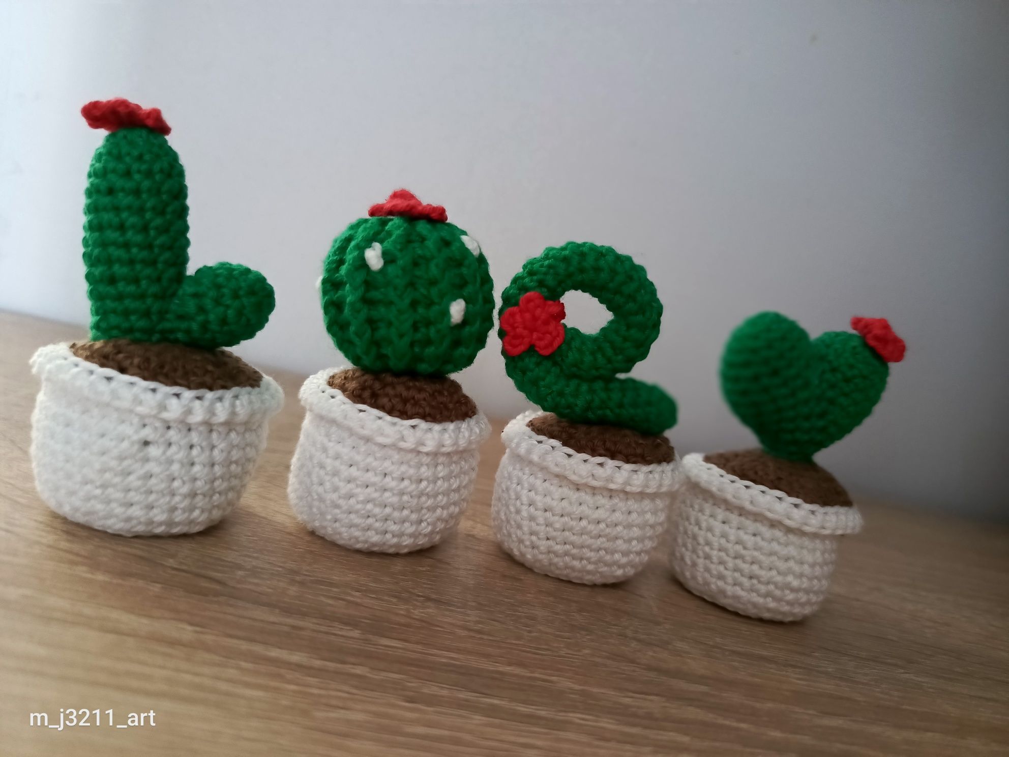 Kaktusy w doniczce LOVE