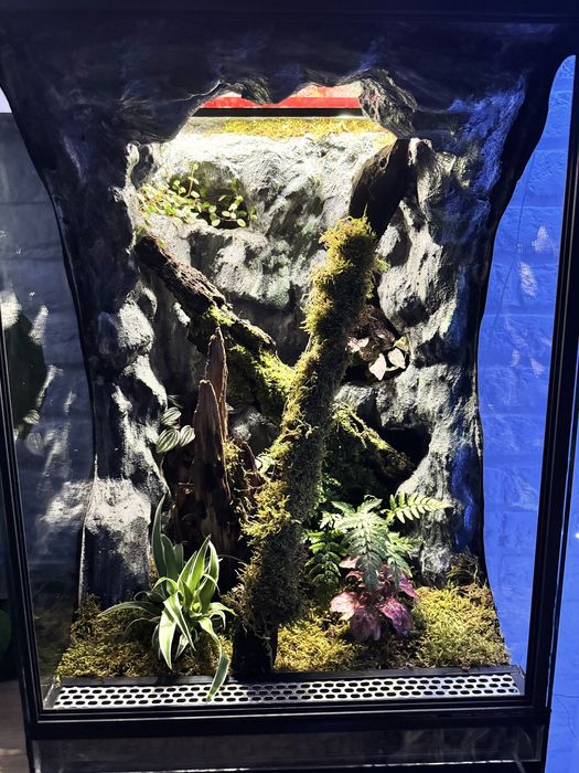 Terrarium tropikalne 40x40x60 idealne dla gekona