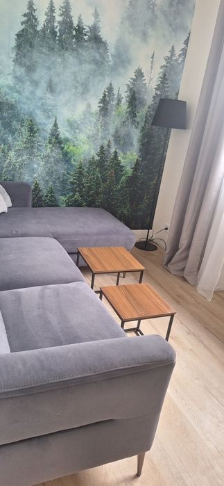 Stoliki kawowe  dwie sztuki