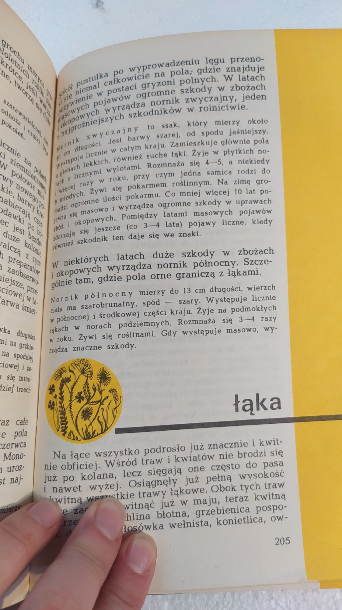 Kalendarz przyrody antykwariat Henryk Sander Zdzisława Wójcik 1983