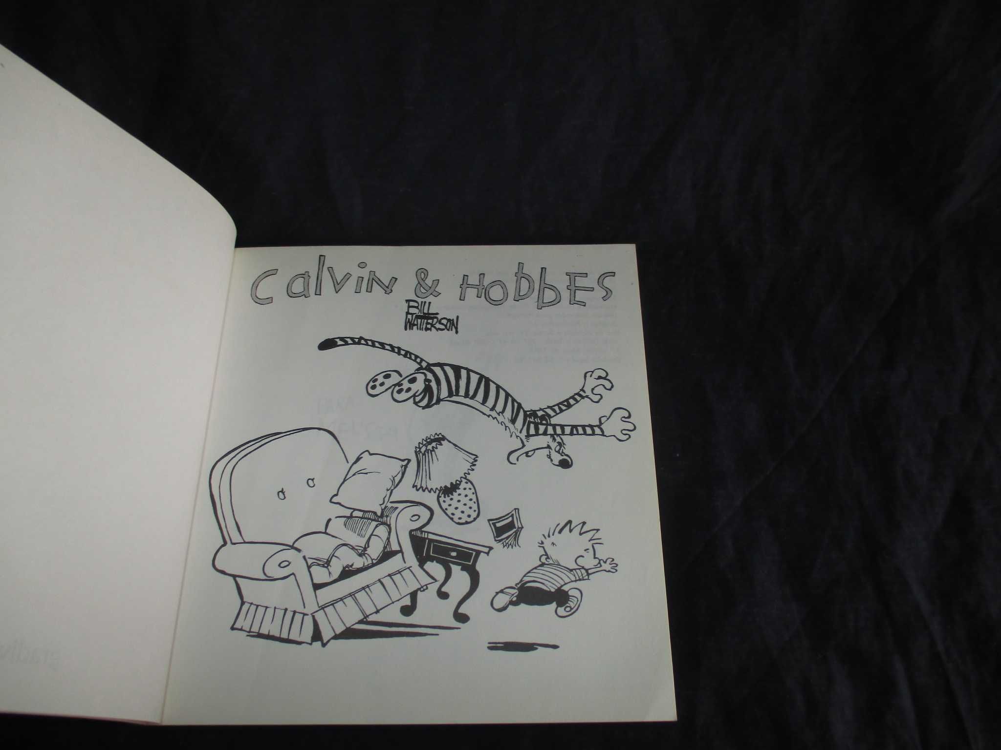 Livro Calvin & Hobbes Bill Watterson Gradiva