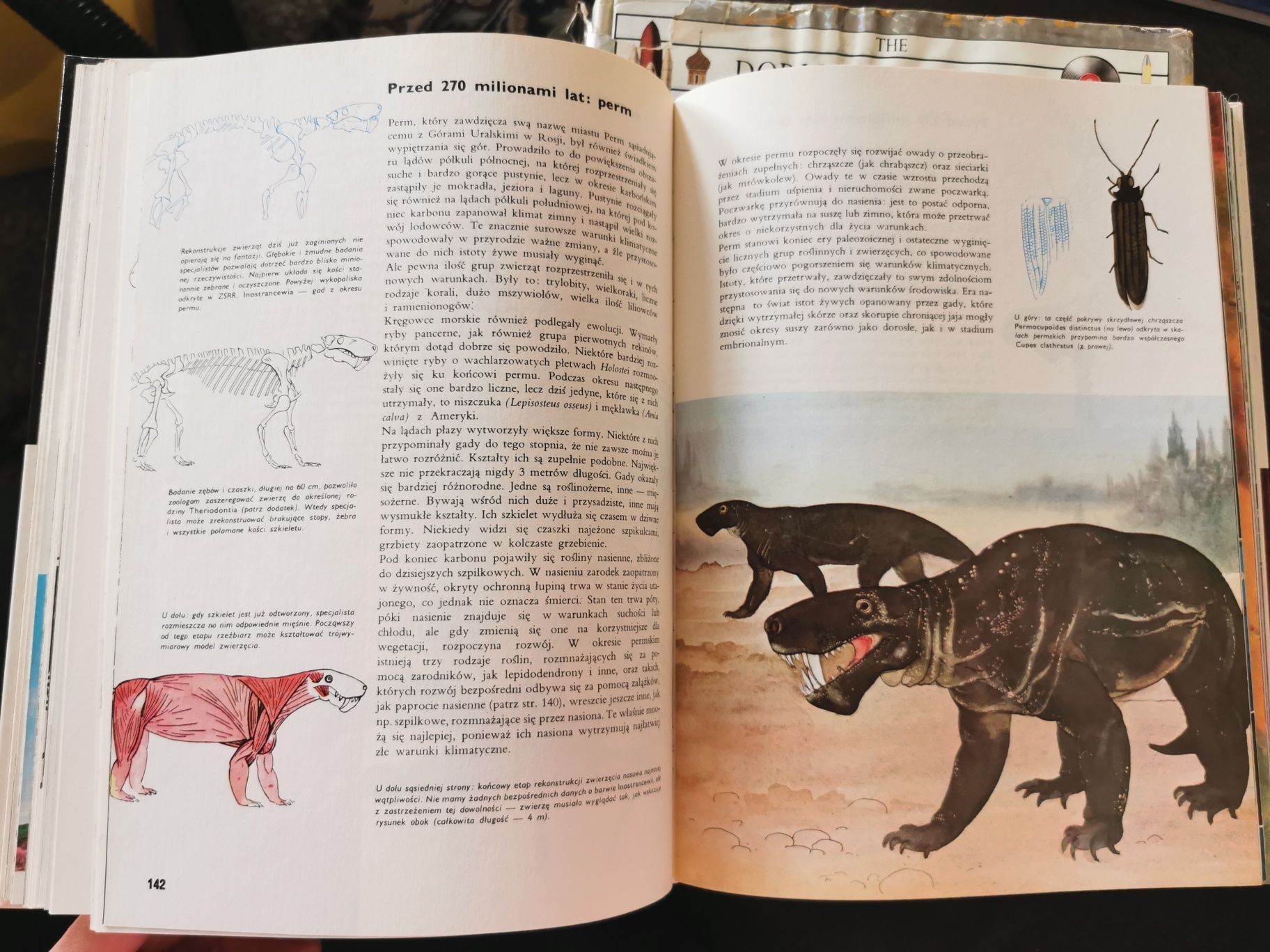 Larousse: Ziemia, rosliny, zwierzęta