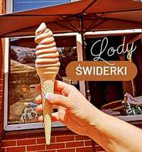 Maszyna do lodów świderków kręcone lody włoskie electro freeze