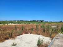 Oportunidade em Almeirim – Terreno 4.920 m² Ideal para Cultivo ou Casa