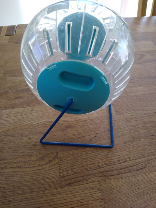 Duża kula dla gryzoni