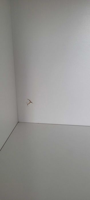 Witryna biała z szkłem
