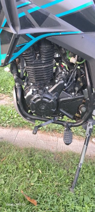 Musstang Challenge GT 250