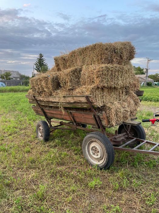 Сіно люцерна, укос 2025р. Обмін на гній.