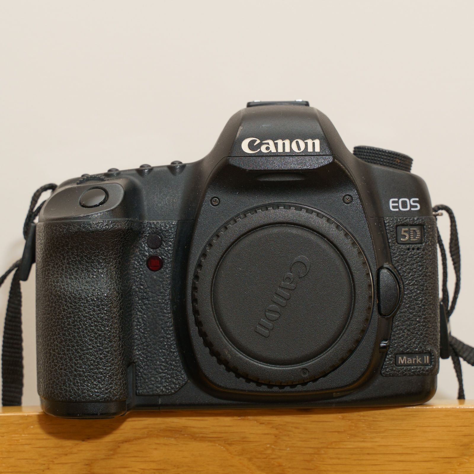 Canon 5D mk II (5d mk2, 105k disparos)