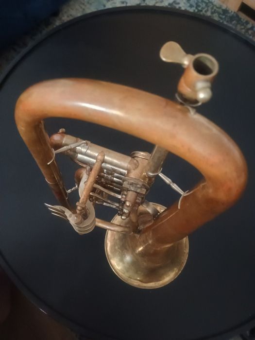 Trąbka boczna Skrzydłówka Kornet Weltklang