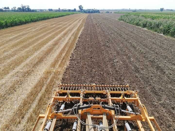 Uprawa bezorkowa usługi rolnicze agrawis.pl