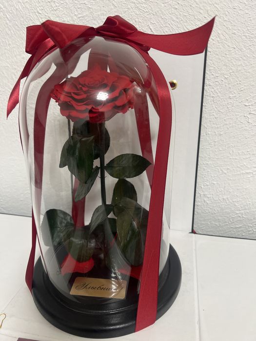 Троянда, роза, Сублімована (ліофілізована) червона троянда