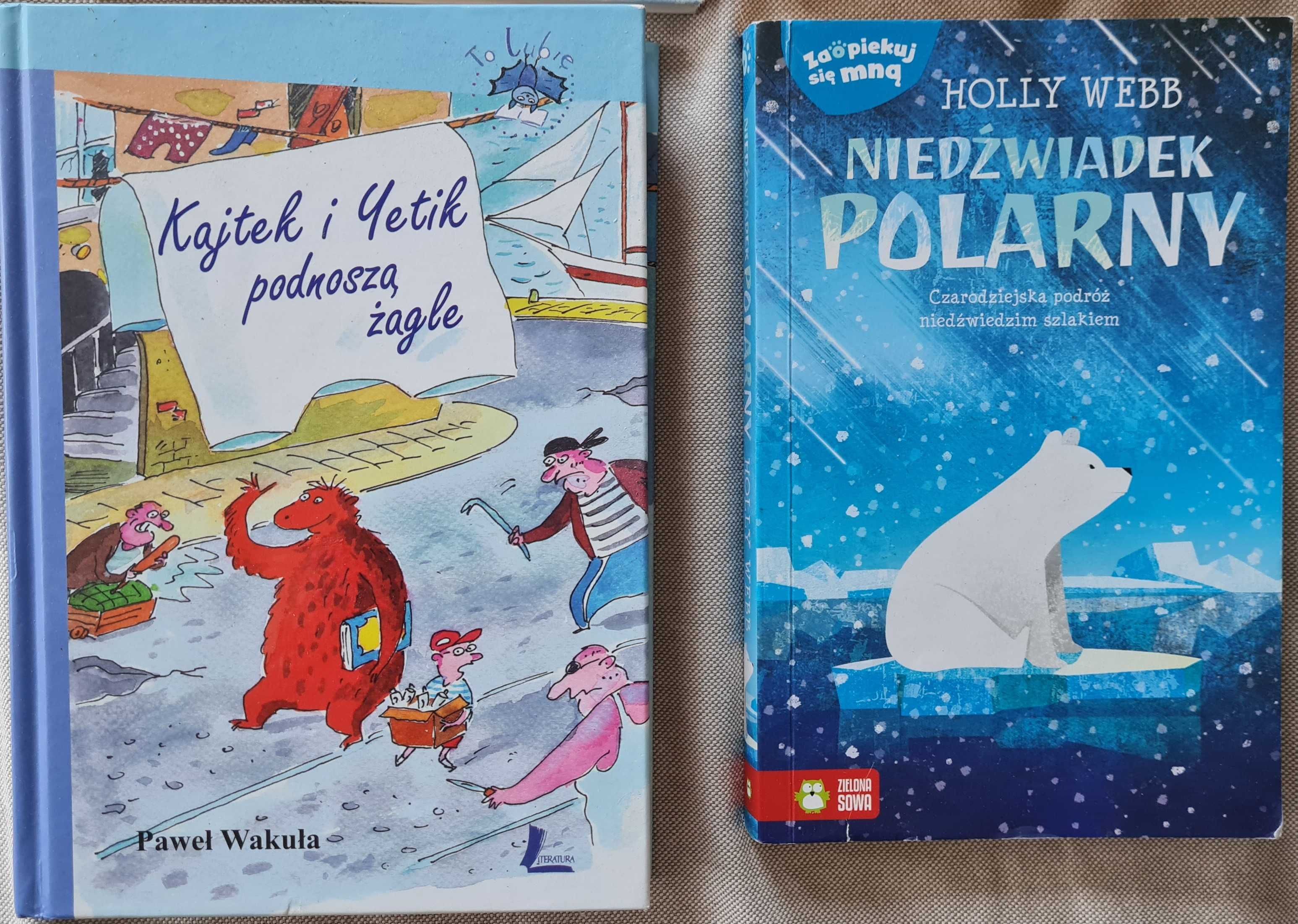 Książki 10 szt, Mały książę , Pipi, Dzieci z Bulerbyn