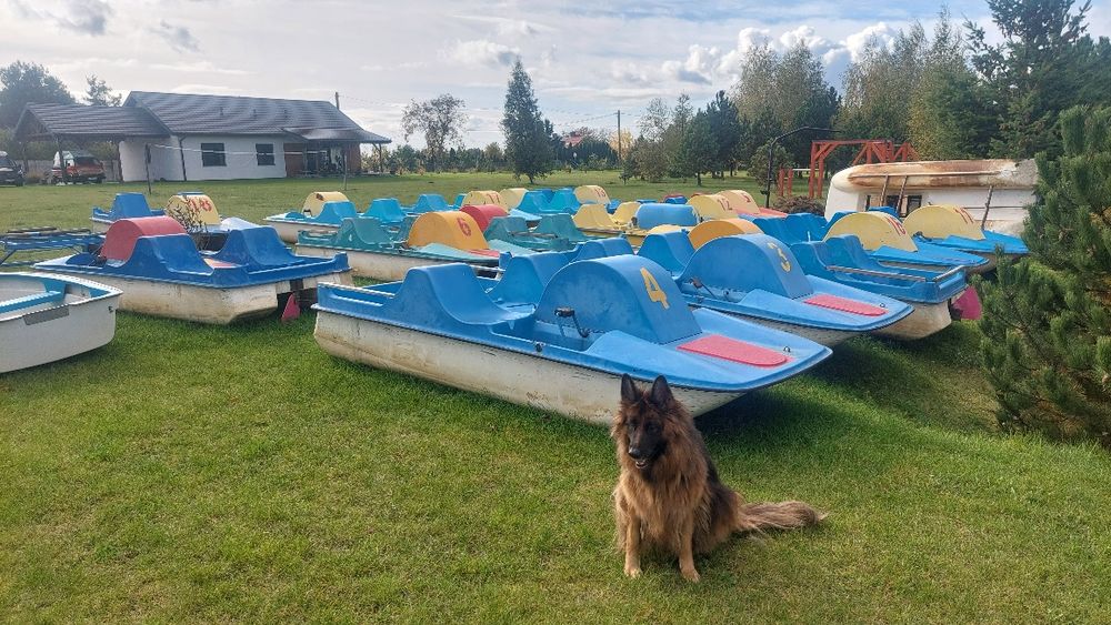 Rower wodny Brda