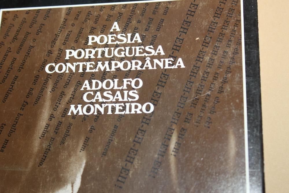 A Poesia Portuguesa Contemporânea de Adolfo Casais Monteiro