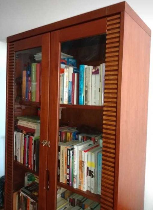 Witryna oszklona,biblioteczka, barek