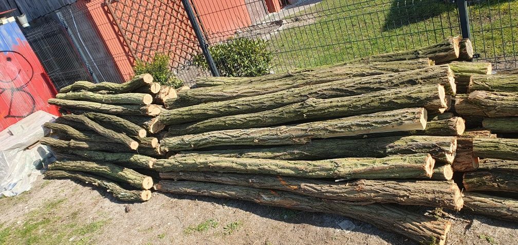 Słupki akacjowe 250-270cm