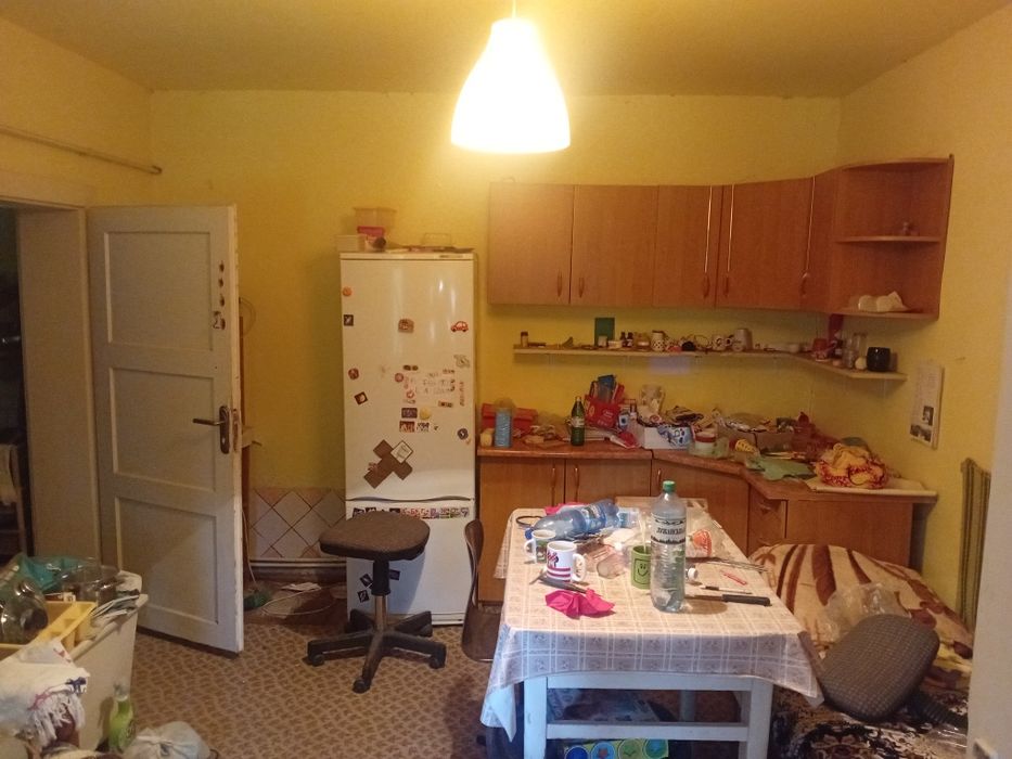 Дешевий будинок в с. Геча з великою ділянкою та садом