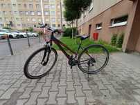 Rower damka cross Bergamont helix 3.2