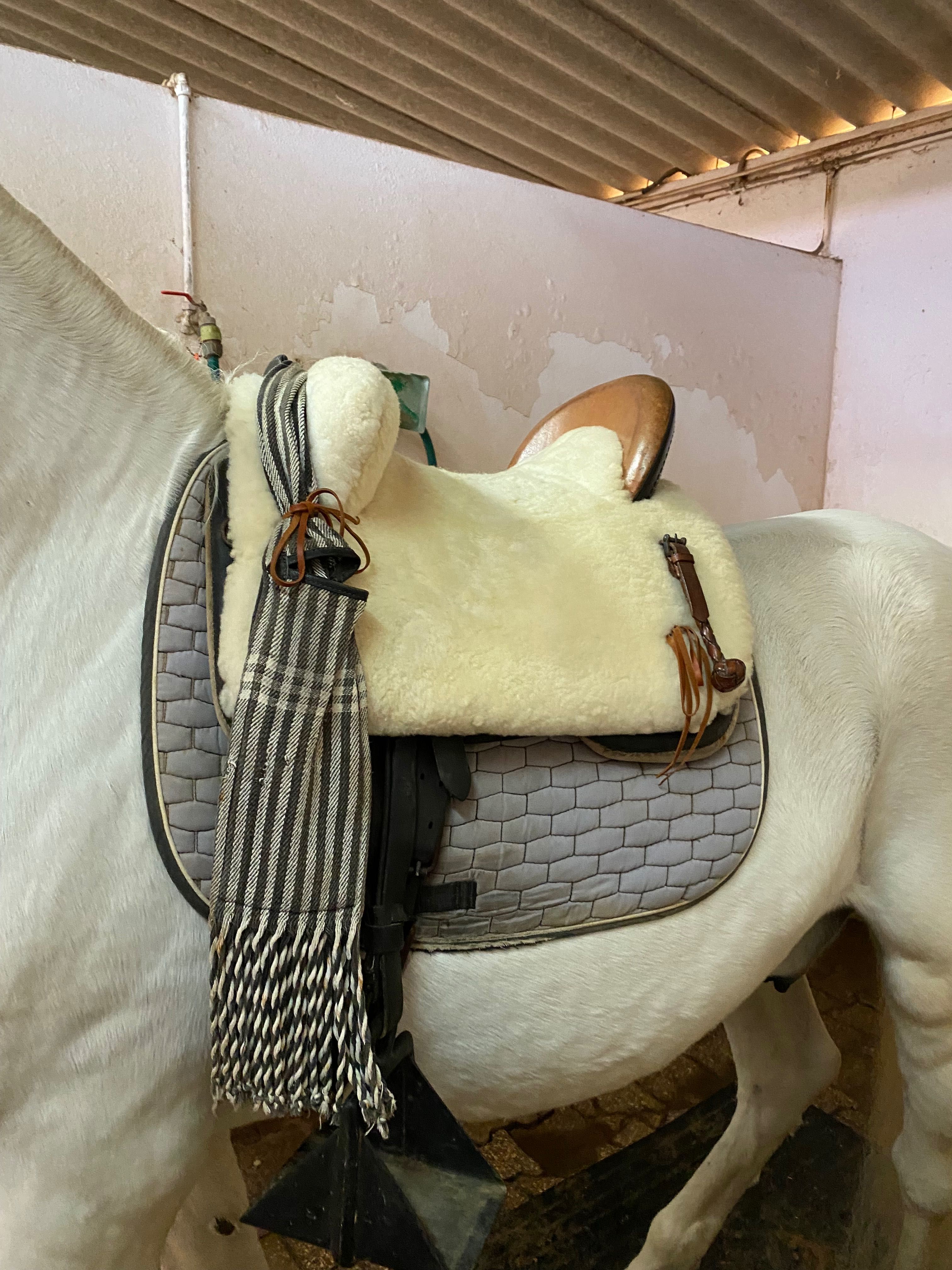Montura espanhola