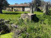 Fantástica Quinta com construção em pedra