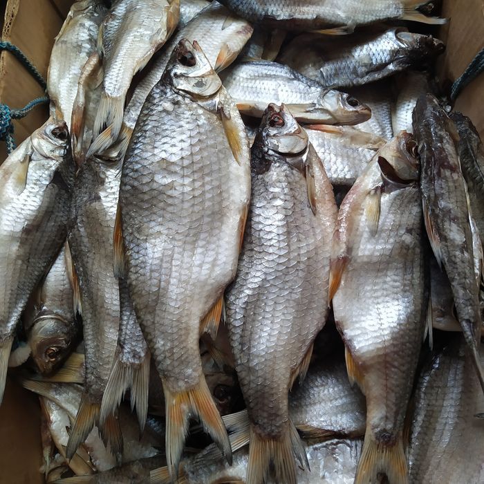 сушена рибка, підлящ, лящ, густера , синець, щука дуже смачна.