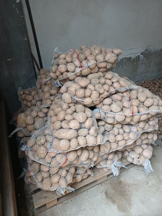 Sprzedam ziemniaki irga