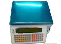 Весы электронные торговые DIGL SM-300 с печатью этикеток (50% цены)