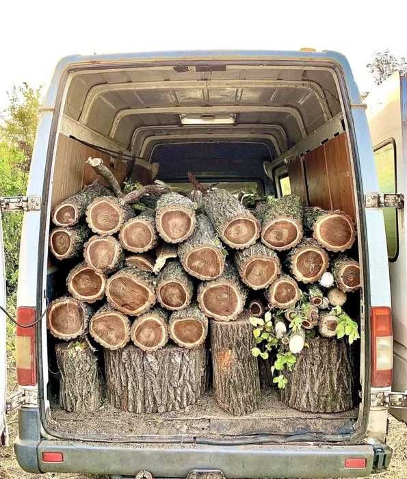 Дрова для бани! Разные породы!Без передоплаты!Николаев