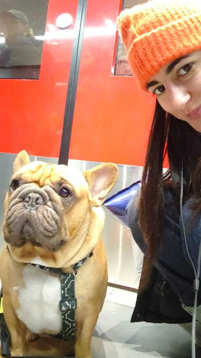 Pet-Boarding. Estadia familiar. Perssitting supervisão todo o dia