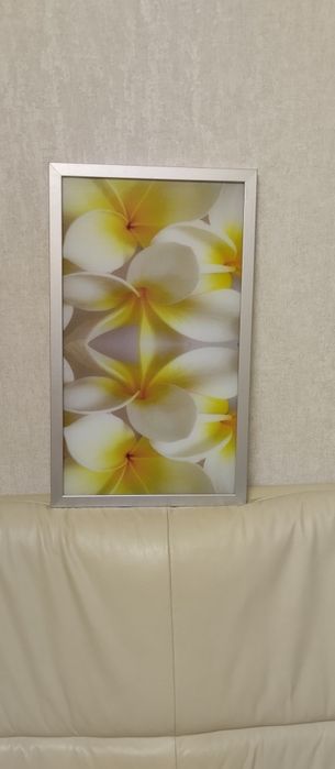 Фасадна триде дверка