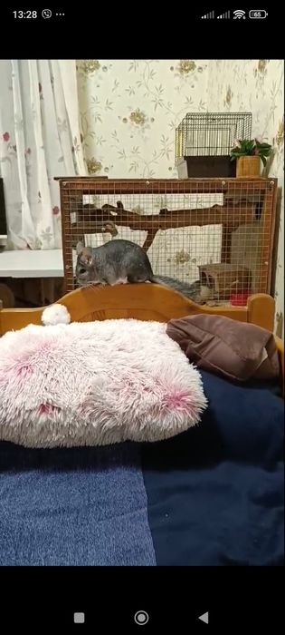 Деревянная большая клетка для грызунов