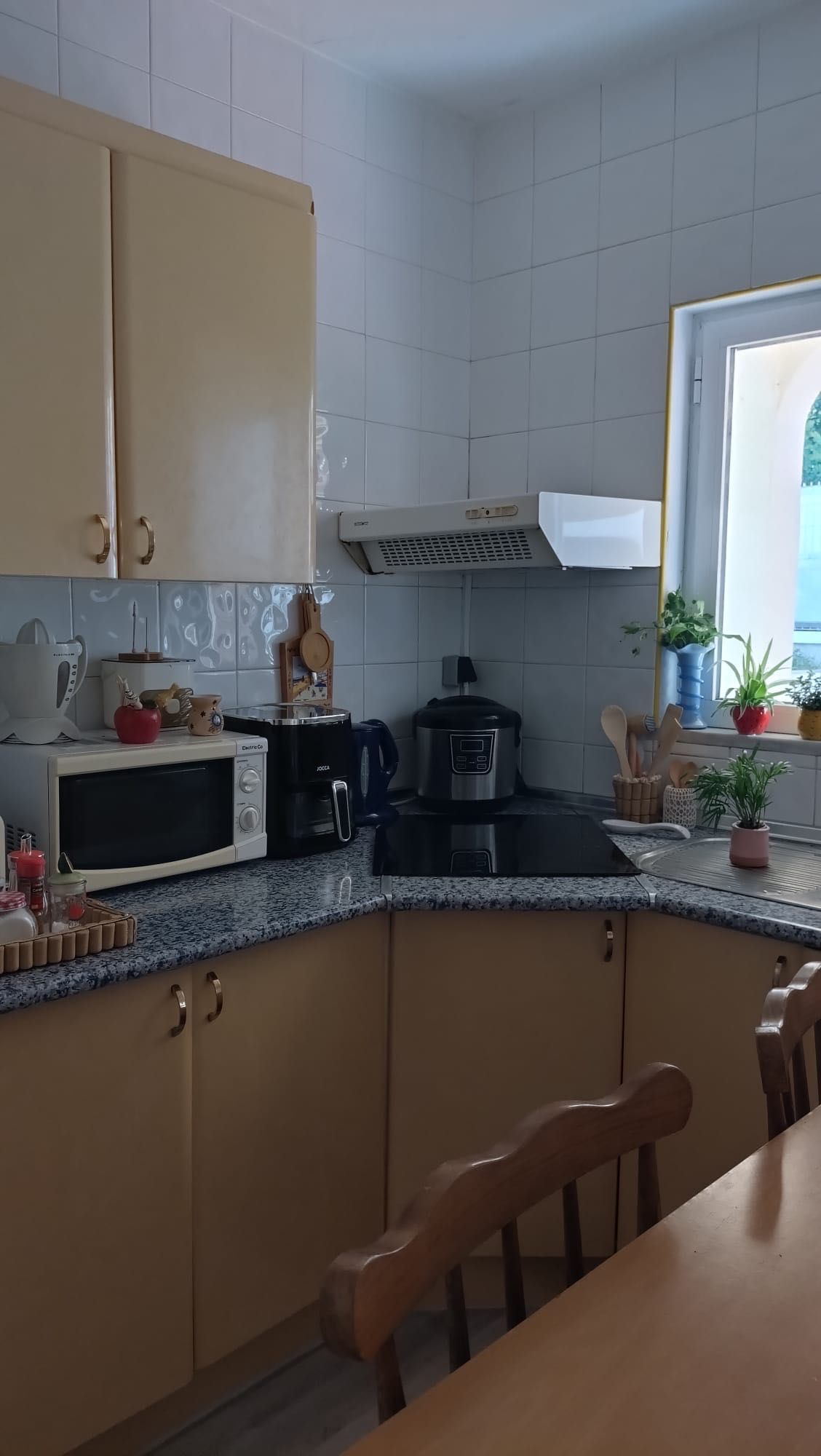 T1 para arrendamento anual – disponível a partir de 15 de agosto